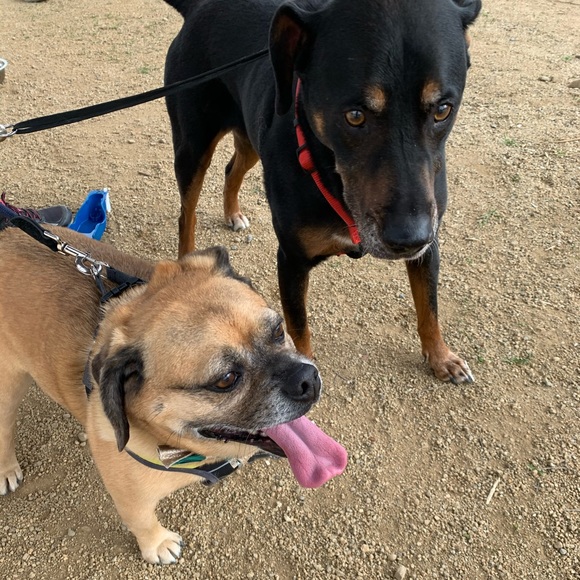 Meet your Posher, Raluca - Picture 4 of 5